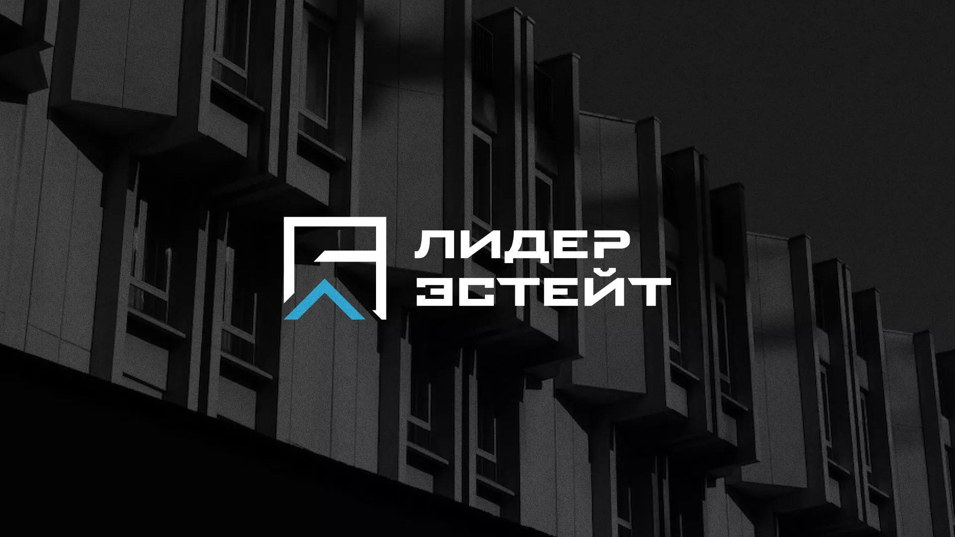 Разработка логотипа агентства недвижимости «Лидер Эстейт» в Шелехове